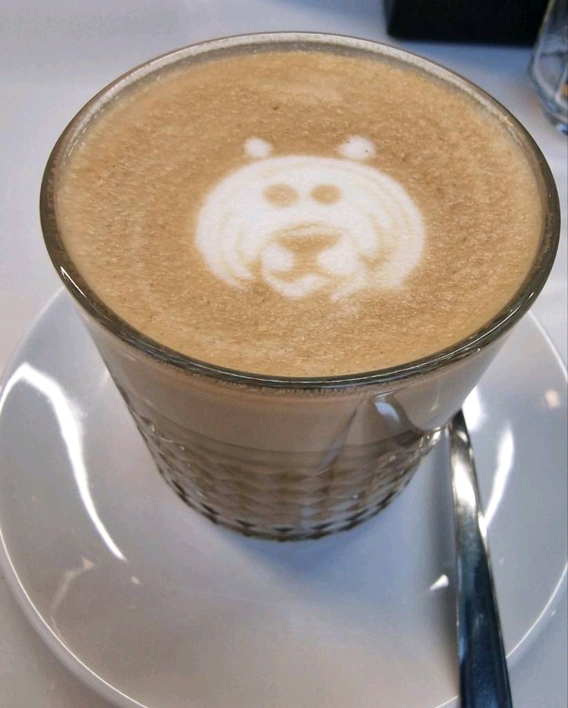 Bear face latte art in a textured glass